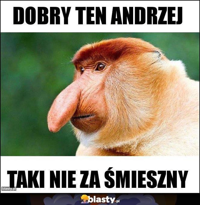 Andrzejki memy