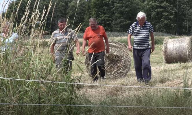 Rolnicy. Podlasie. Andrzej szuka koni, które uciekły z pastwiska