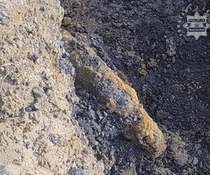 Nie tylko niewybuchy. Na budowie w Wodzisławiu Śląskim znaleziono ludzkie szczątki