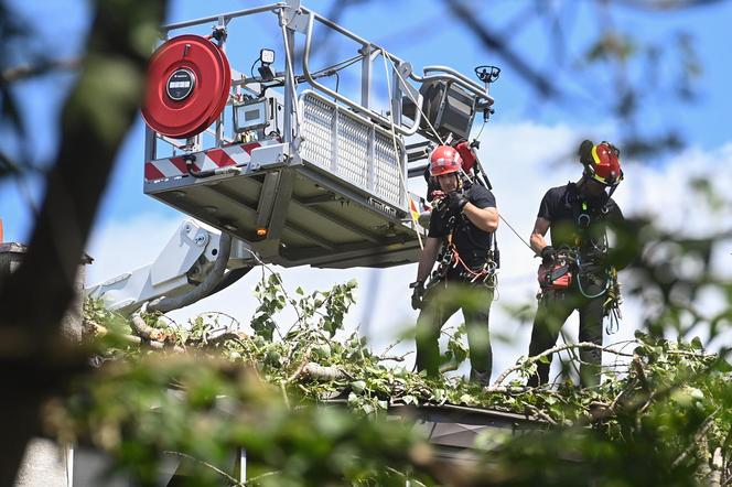 Burze i nawałnice nad Polską. Miażdżące dane, pogoda jak z koszmaru