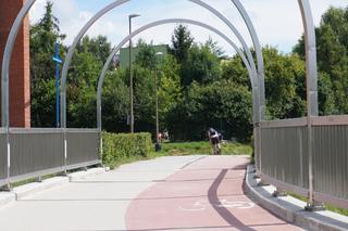 Wakacyjny spacer pod kładką nad wąwozem na Czubach. To jedno z najbardziej zielonych miejsc w Lublinie!