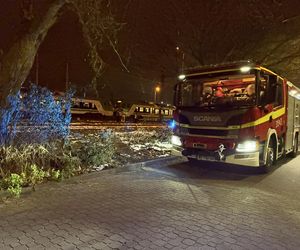 Śmiertelne potrącenie przez pociąg w Warszawie. Pieszy wtargnął pod rozpędzony skład. Zginął na miejscu