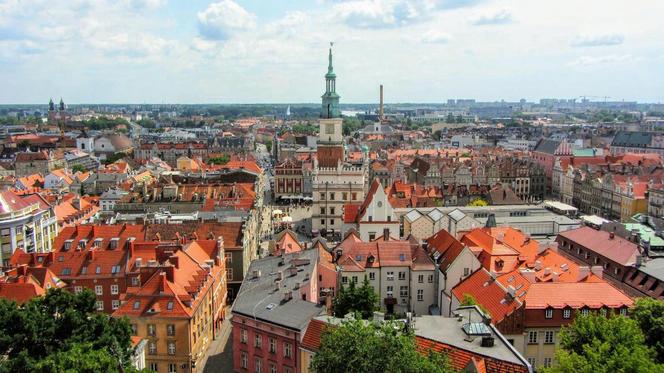 Poznań jest NAJBRUDNIEJSZYM miastem w Polsce? Urzędnicy STANOWCZO odpowiadają!