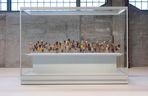Efrat Zehavi, Where Are We Going, 2020-2022, Collection Fenix