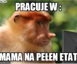 Memy na Dzień Mamy 2025