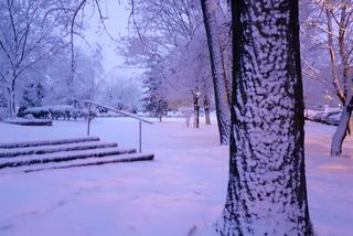 Kolejny atak zimy we Wrocławiu. Ale śniegu! 