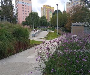 Park centralny w Gdyni. Atrakcje dla dzieci i dorosłych