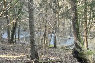 To jedna z piękniejszych rzek w Olsztynie. Można ją zobaczyć w kultowym serialu