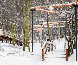 Park leśny na Oksywiu w Gdyni