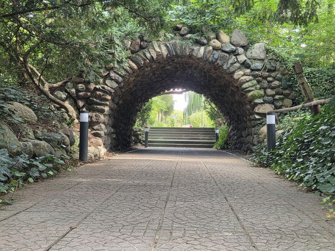 Letni spacer w zielonym sercu Bydgoszczy. Ogród Botaniczny UKW zaprasza!