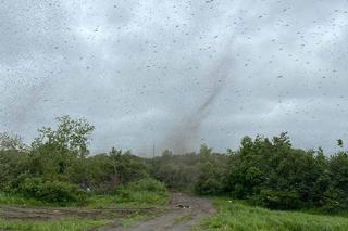 Szok! Tornado z komarów. Inwazja jakiej jeszcze nie było