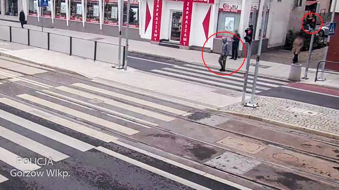 W Gorzowie posypały się mandaty dla pieszych i kierowców
