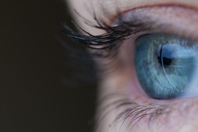 Niesamowite odkrycie lubelskich naukowców. Nasze oko ma żaluzje.