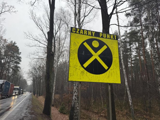 Masowy wypadek pod Warszawą! Zderzenie trzech aut z wojskową ciężarówką. Jedna osoba nie żyje