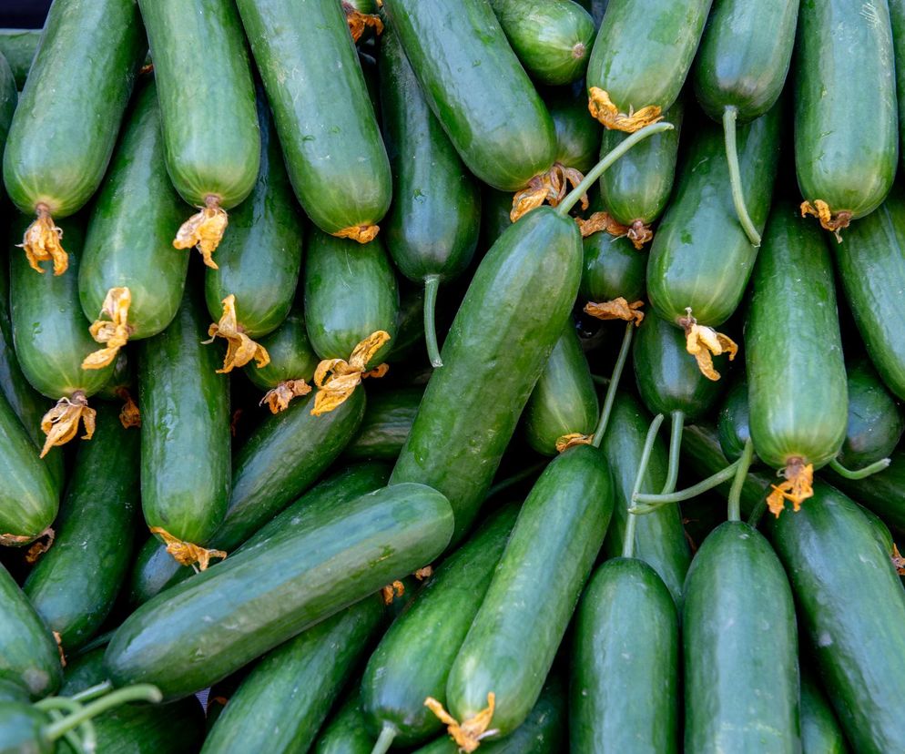 Zalewa nas fala warzyw z Rosji. To pestycydowa bomba