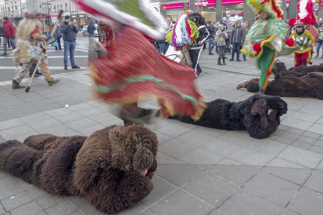 DZIADY ŻYWIECKIE oczarowały Katowice!
