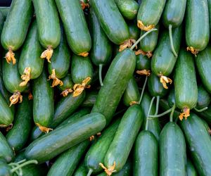 Zalewa nas fala warzyw z Rosji. To pestycydowa bomba