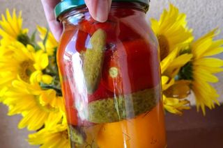 Wszystko prosto od rolnika i gospodyni spod samego gospodarstwa. Ludzie pokochali samoobsługowy warzywniak