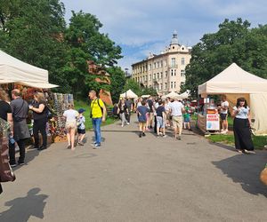 Smoczy Piknik Rodzinny 2025 w Krakowie