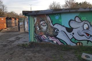 Schronisko musi mieć nowy, ogrzewany budynek dla psów