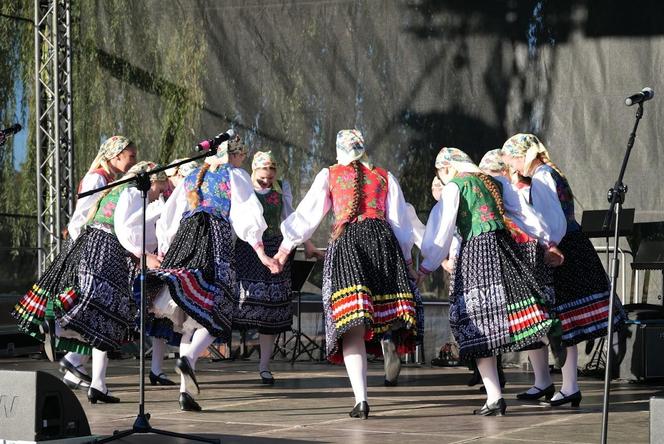 50. urodziny Spodków. Na imprezie zaprezentowano projekt renowacji kultowego obiektu [ZDJĘCIA]