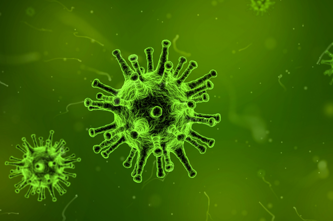 Odkryto 110 tys. nowych wirusów. W tym dziewięć nieznanych wcześniej koronawirusów!