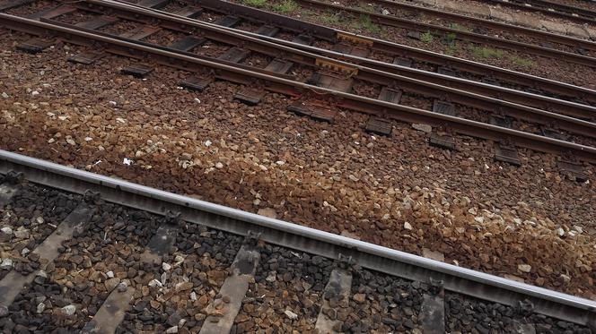 Gdy zobaczył pociąg, ruszył. Maszynista tylko patrzył, jak ginie 52-latek! Koszmar pod Wyszkowem