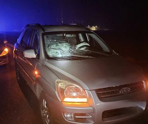 Tragiczna śmierć przedszkolanki z Bydgoszczy! Wszyscy w szoku. Justyna była wyjątkowym specjalistą