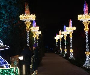 „Historia światła” po raz ostatni. Park iluminacji w Lublinie kończy sezon