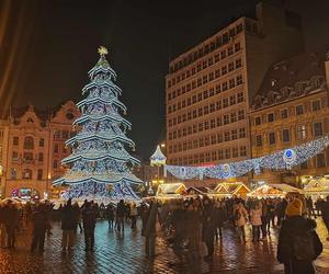 Ale blask! Choinka we Wrocławiu już świeci! Świątecznie rozświetliła cały Rynek [ZDJĘCIA]