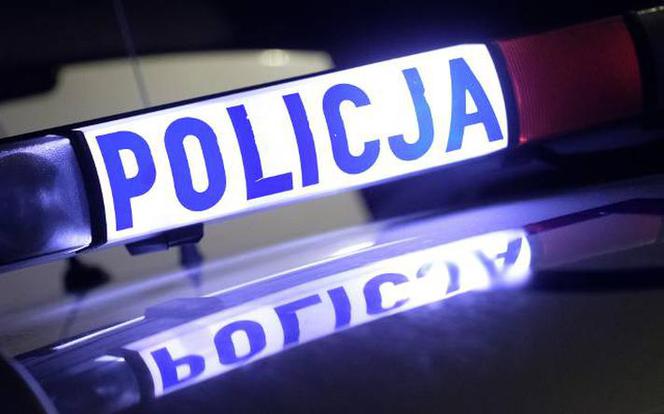 Makabryczne odkrycie na Górkowie. Ktoś torturował i zabił psa
