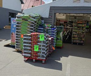 Biedronka na fali