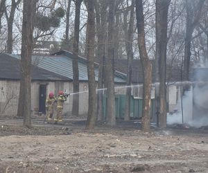 Pożar pustostanów przy ul. Grudziądzkiej w Toruniu. To nie pierwszy raz!