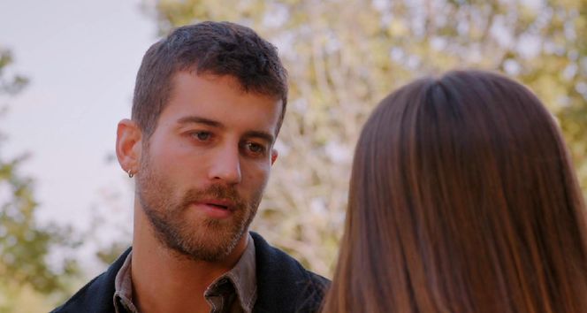 Miłość i nadzieja, odcinek 324. Cihan, Zeynep