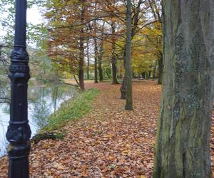 Park Sołacki w Poznaniu jesienią