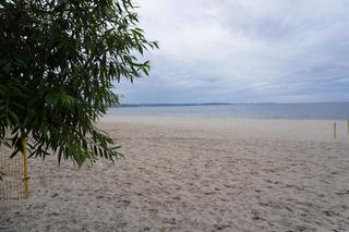 Jedyne takie miejsce na plażowej mapie Gdańska. Właściciele psów powinni o nim wiedzieć!