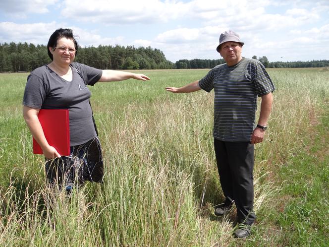 370 tys. złotych kary za wycięcie krzaków