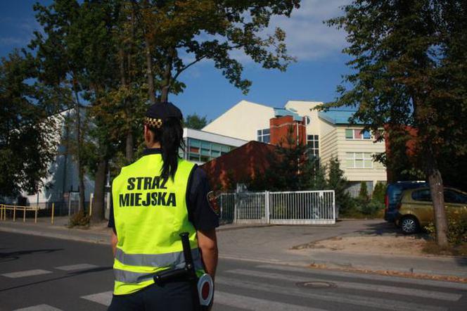 Straż Miejska z Torunia rozpoczyna kontrole. Co będzie sprawdzać?