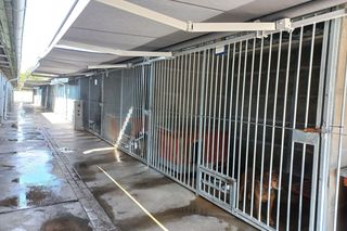 ​W schronisku dla zwierząt w Henrykowie koło Leszna montują markizy. Dadzą psom cień w gorące dni