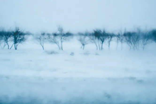 Śnieżyce i deszcz to nie wszystko! We wtorek pojawi się inny problem. Najnowsza prognoza dla Polski