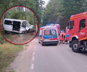 Bus rozbił się na drzewie. Wielu poszkodowanych