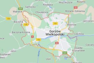 Miasta o największej gęstości zaludnienia w woj. lubuskim
