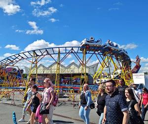 Wrocławski Festiwal Dobrego Piwa. Wielkie święto piwoszy przy stadionie 