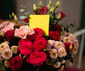 Barwy szczęścia odc. 3224. List Ignacego do Agaty