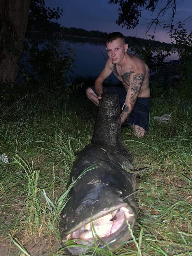 Mazowsze. Prawdziwa gruba ryba! Prawie 2,5 metrowy potwór pływał w Wiśle!
