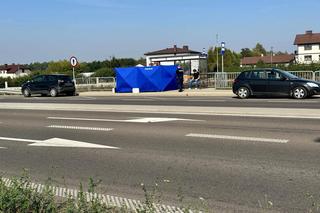 Zwłoki noworodka w reklamówce w koszu na śmieci. Wstrząsające odkrycie na przystanku pod Warszawą