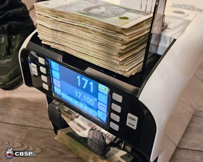 Akcja CBŚP. Pseudokibic zatrzymany