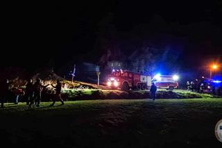 Niedźwiedź zaatakował mężczyznę