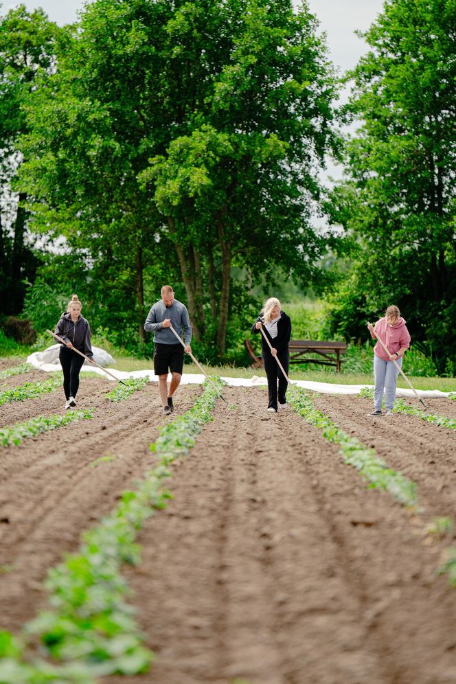6. odcinek "Rolnik szuka żony"