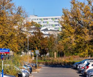 Park linearny na Bielanach w Warszawie